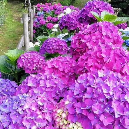 Apartamento Relax In