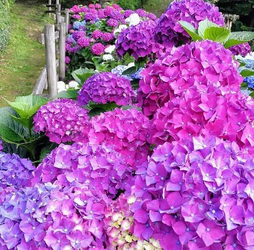 アパート Relax In