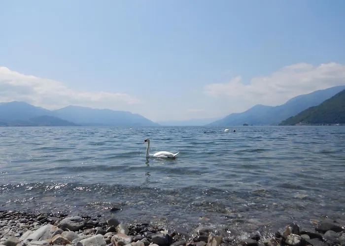 Relax In Apartament Maccagno