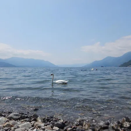 Relax In 아파트 Maccagno